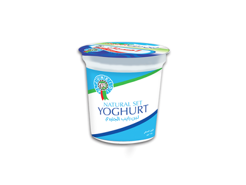 [:en]Al Juneidi Yoghurt 150gm[:ar]لبن رايب الجنيدي 150 غم[:]