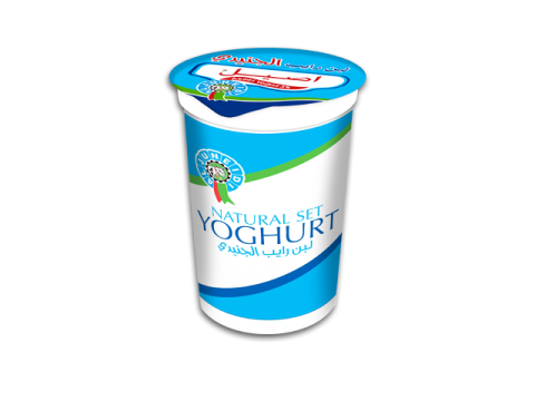[:en]Al Juneidi Yoghurt 500 gm[:ar]لبن رايب الجنيدي 500 غم[:]